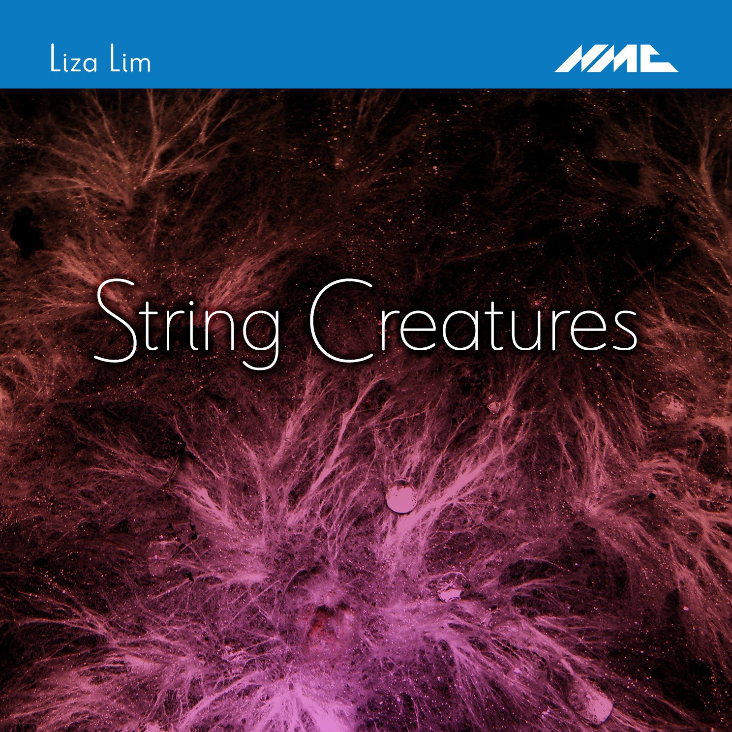 String Creatures Album Cover