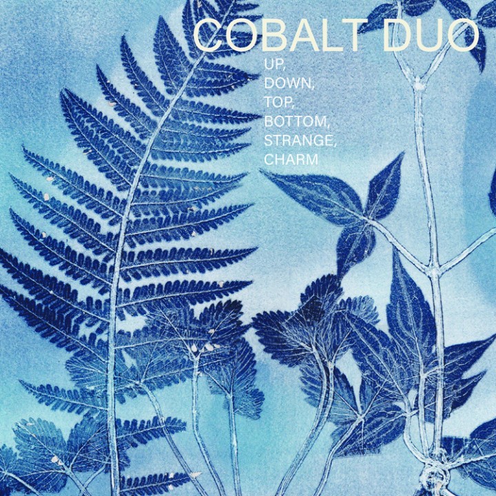 Up, Down, Top, Bottom, Strange, Charm cover