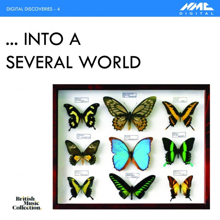 Digital Discoveries 4: Into a Several World cover