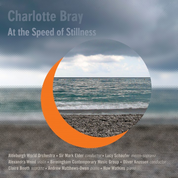 At the Speed of Stillness cover