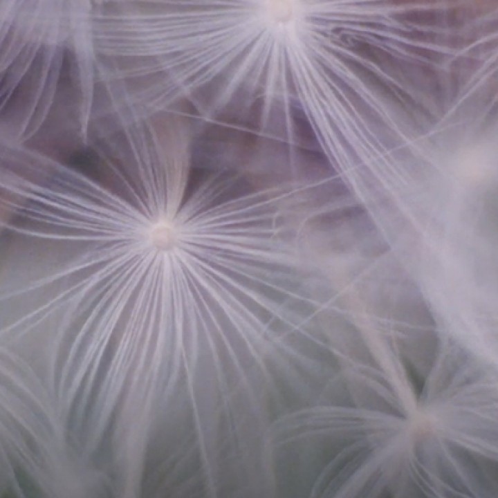 Exploding stars