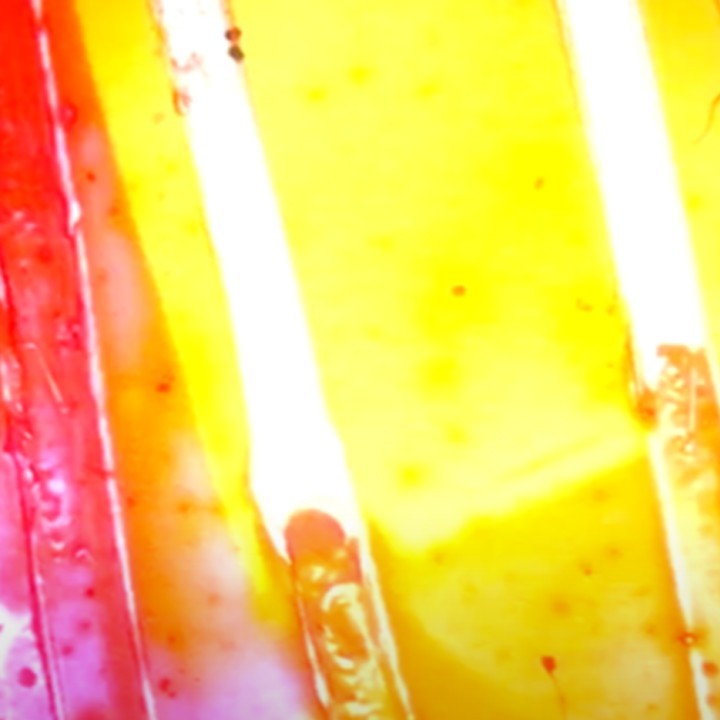 Cover image Mossbourne