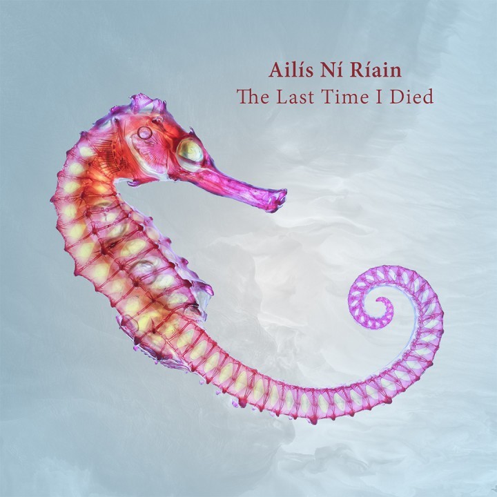 Ailís Ní Ríain: The Last Time I Died